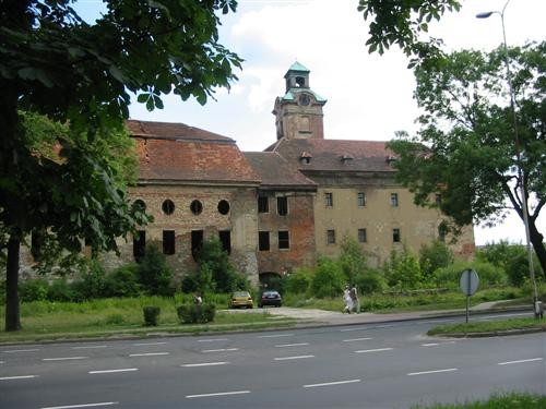 Pozostałe, Ruiny pałacowo-zamkowe w Żarach