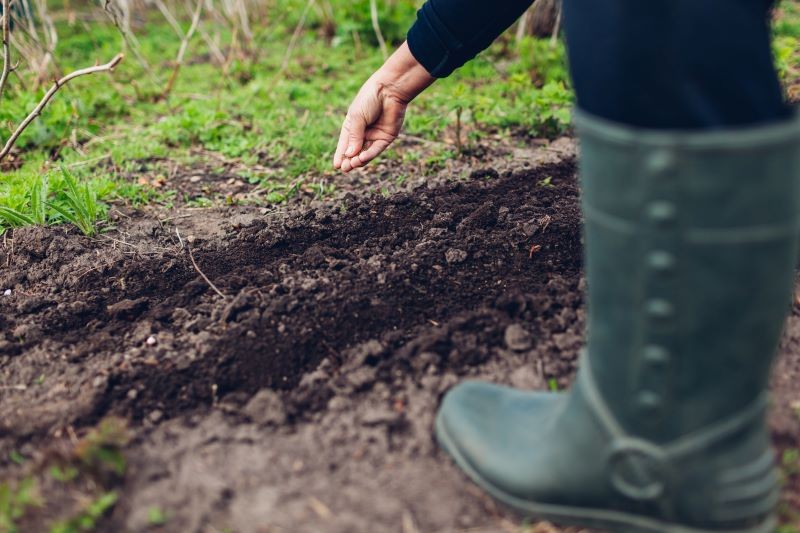 Zanim wysiejemy warzywa, zadbajmy o jakość gleby na grządkach.