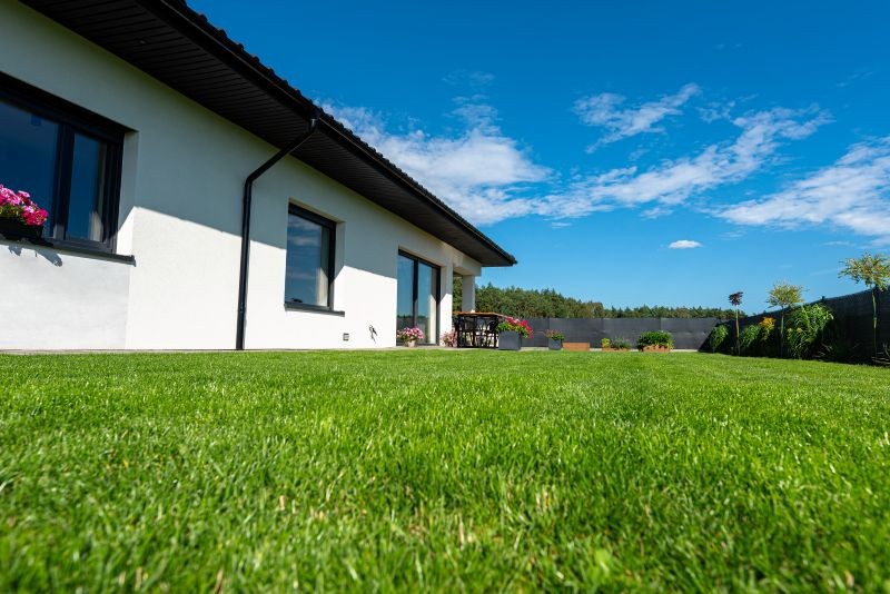 Objawy żerowania nicieni na trawniku są podobne do obecności pędraków.