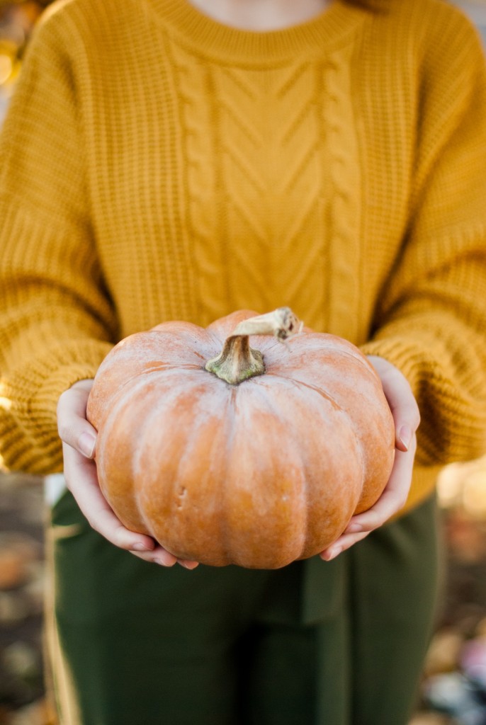 Dekoracje, Pumpkin Time