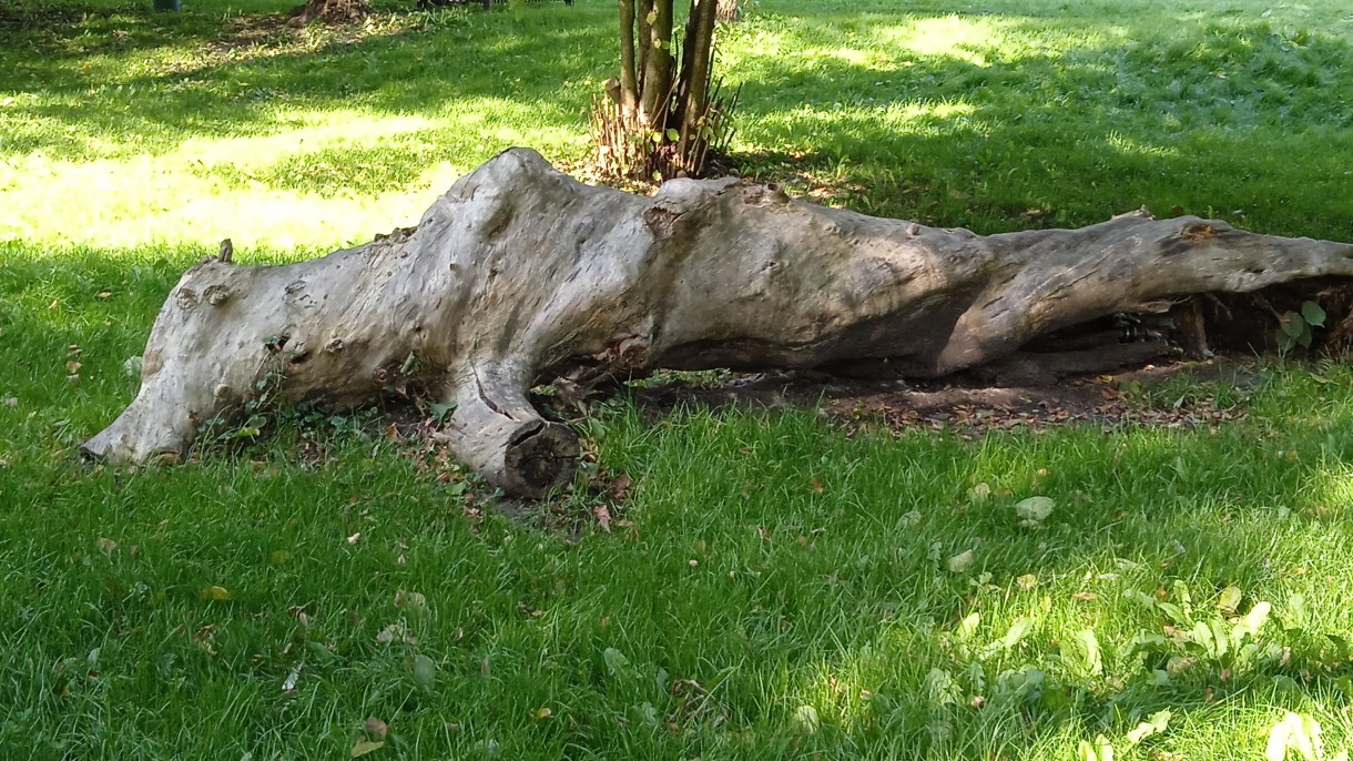 Podróże, WOKÓŁ RUIN ZAMKU CHUDÓW