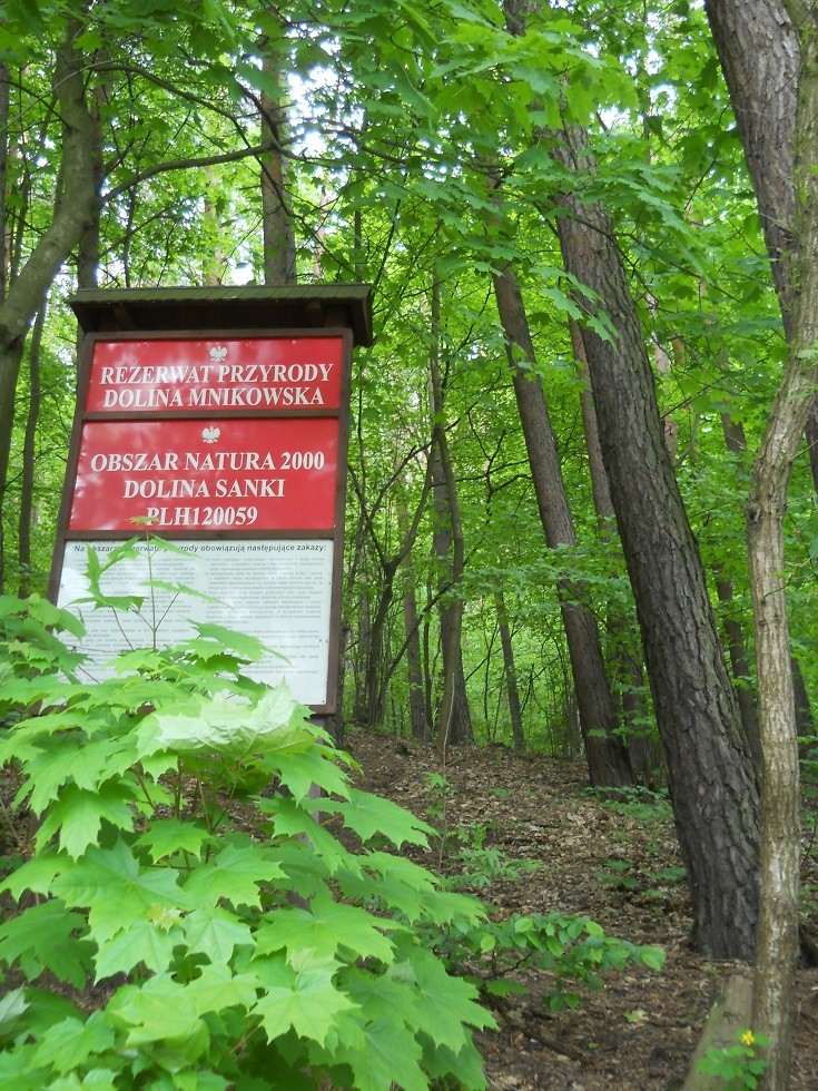 Podróże, Dolina Mnikowska, wycieczka spacerowo - wyczynowa:) - Wchodzimy na teren Rezerwatu przyrody Dolina Mnikowska, obszar Natura 2000:)