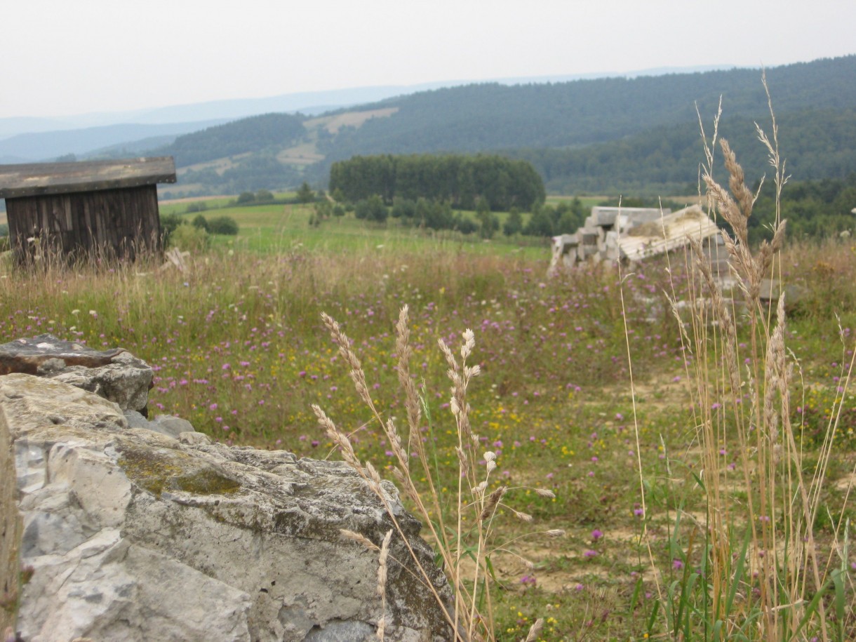 Pozostałe, Z cyklu cudze chwalicie... Bieszczady w moim obiektywie...