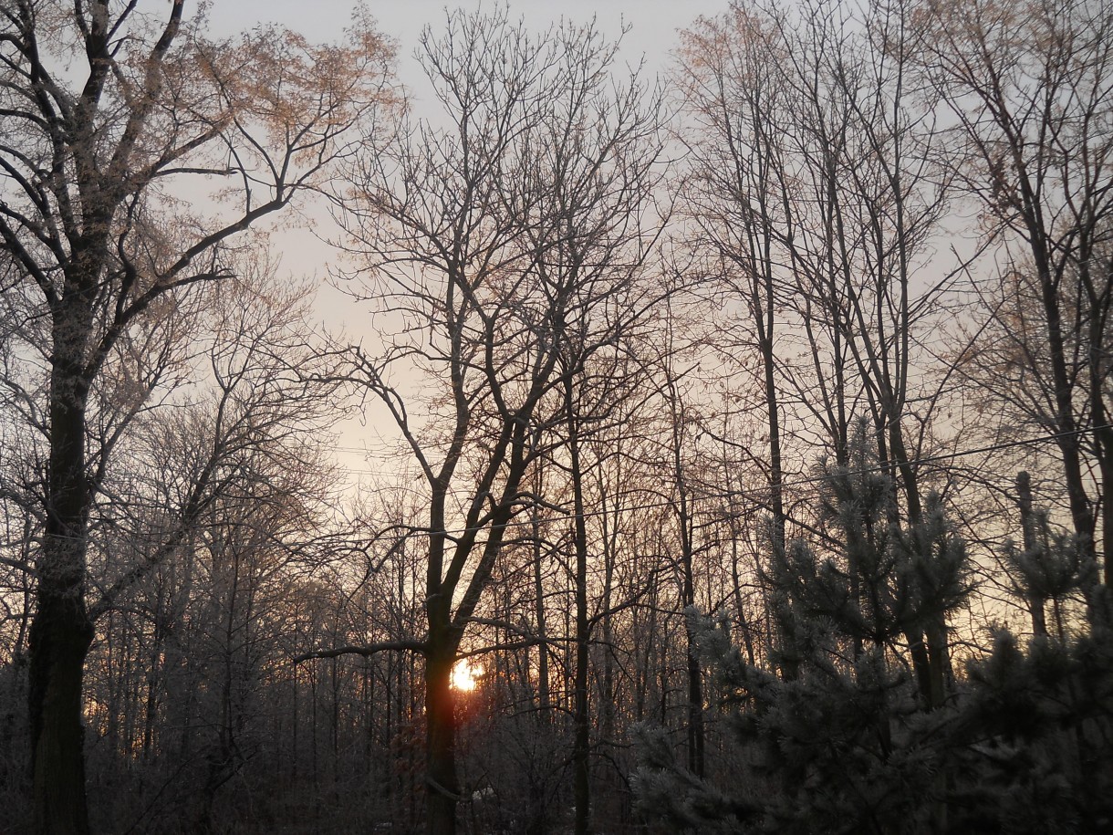 Pozostałe, Momenty nietrwałe. - 24.12.2016
Wesołych Świąt...