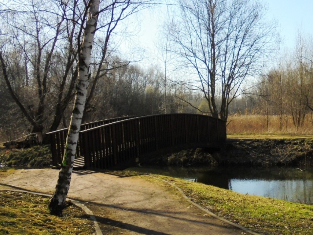 Leśne klimaty, WIOSENNIE  W  NATURZE