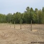 Leśne klimaty, Jak zmieniał się nasz ogród - Słupki dębowe przygotowane do zamontowania siatki leśnej.