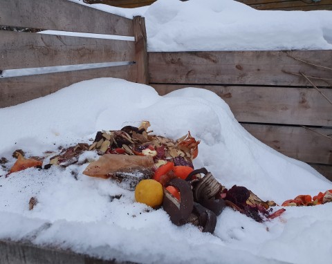 Doskonały, ale najmniej doceniany. Dobrze sprawdza się przy jesiennym nawożeniu gleby i kompostowaniu