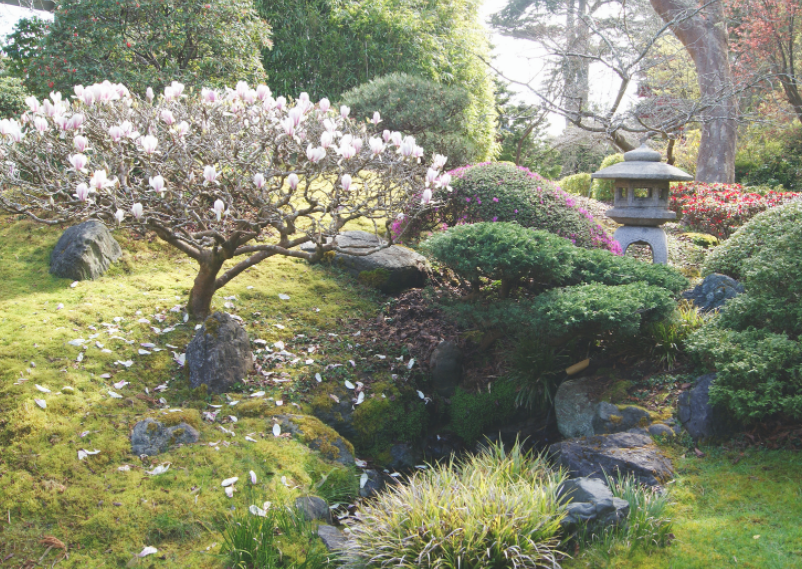 ogród japoński