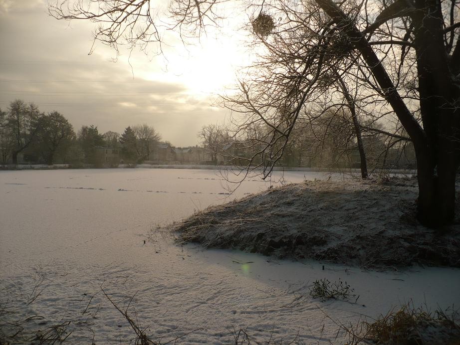 Pozostałe, Pierwsze pisanki haftowanki i zima nad morzem ................. - ............i zima nad stawkami...........