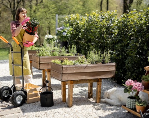 Garden staging. Jak podnieść wartość domu ogrodem?