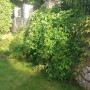 Ogród, Mój mały ogródek w letniej odsłonie - W słonecznej poświacie kawałek ogródka