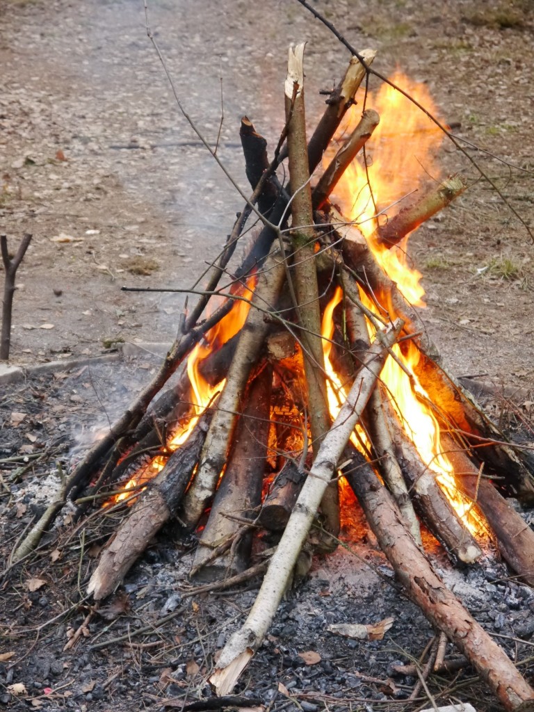 Pozostałe, Niech żyje wiosna - Chyba zaczyna się ściemniać więc czas zagasić ognisko.