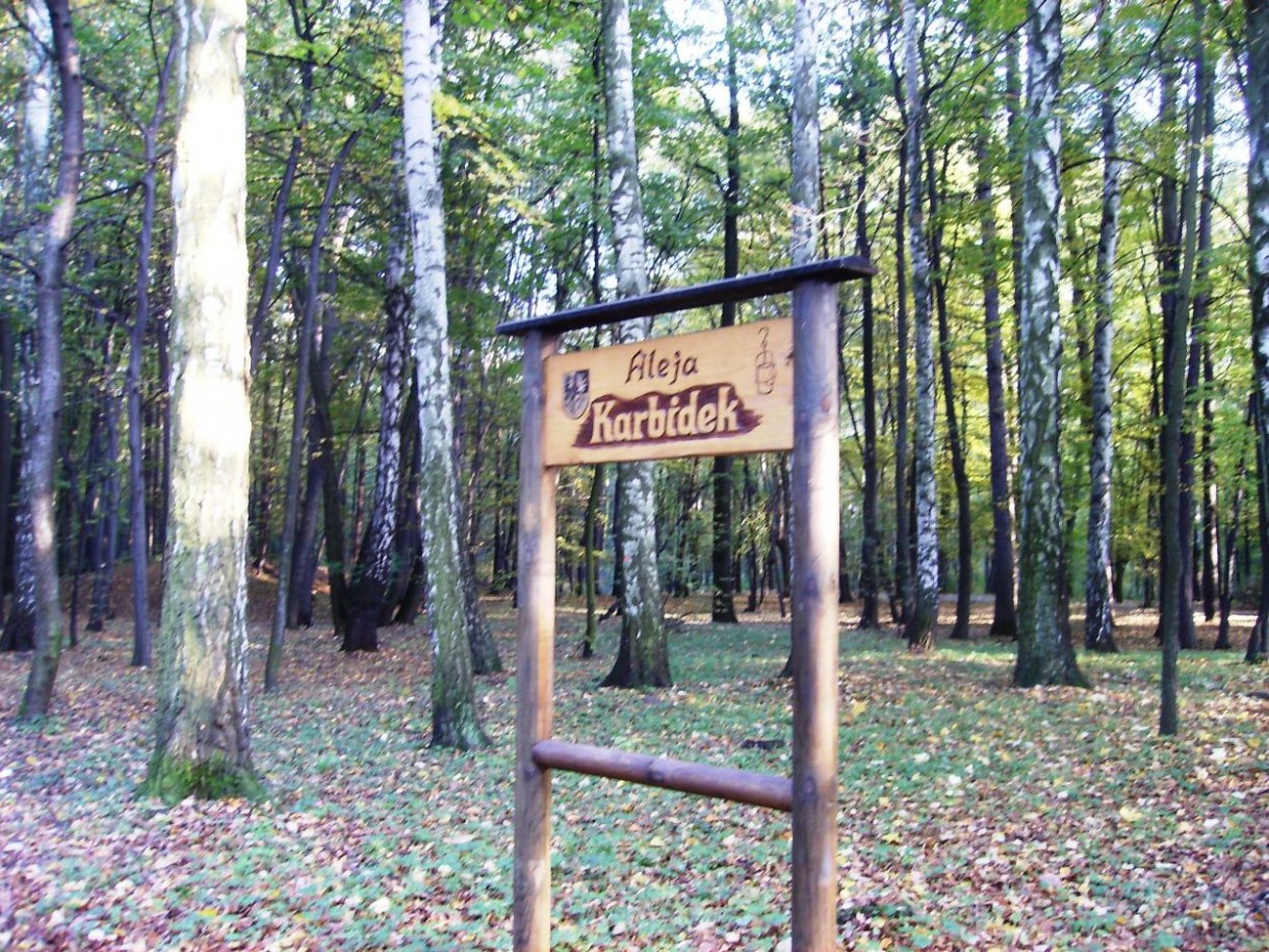 Pozostałe, ALEJAMI  PRZEZ  PARK  MIEJSKI