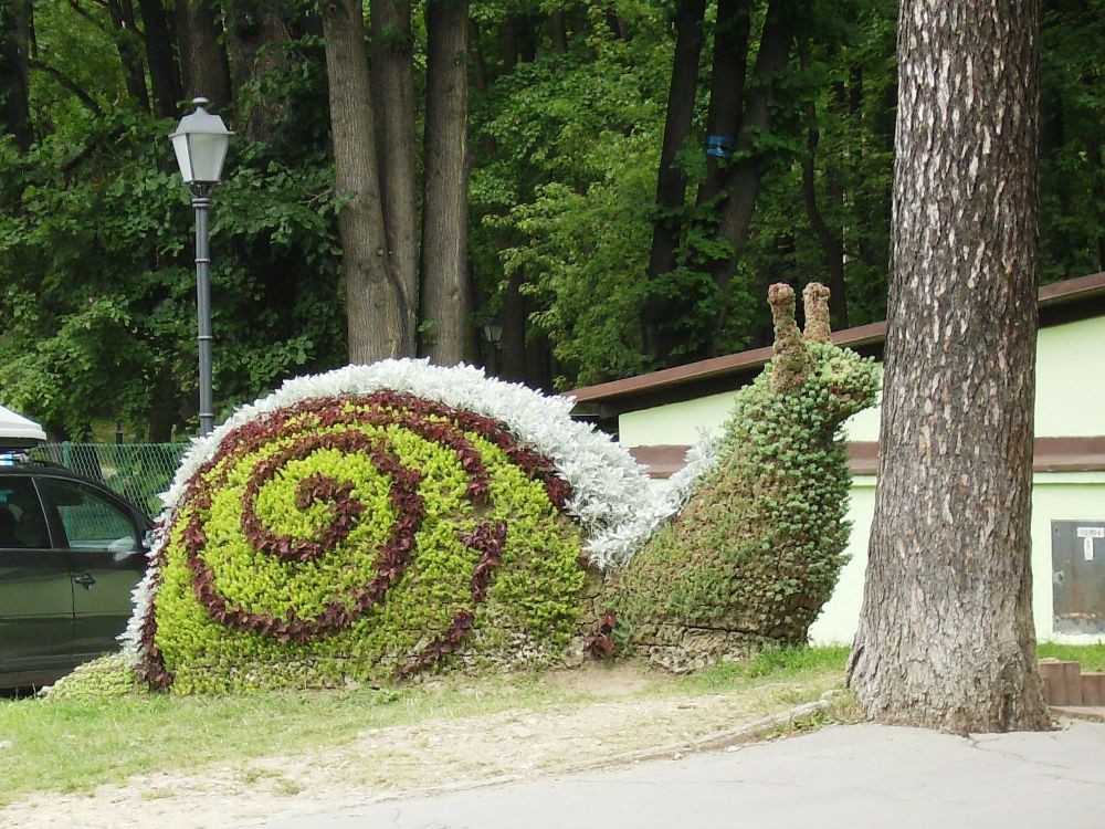 Pozostałe, SZCZAWNICA FONTANNĄ UROKU - UL. GŁÓWNA