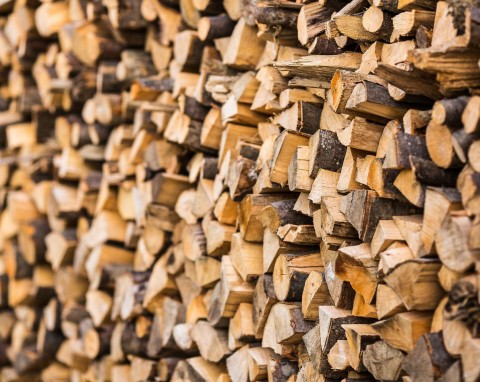 Aktualne ceny drewna opałowego. Ile trzeba zapłacić w grudniu 2025 roku?