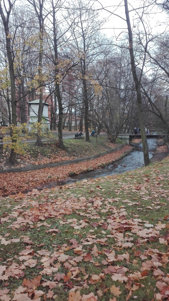 Podróże, Listopadowy park