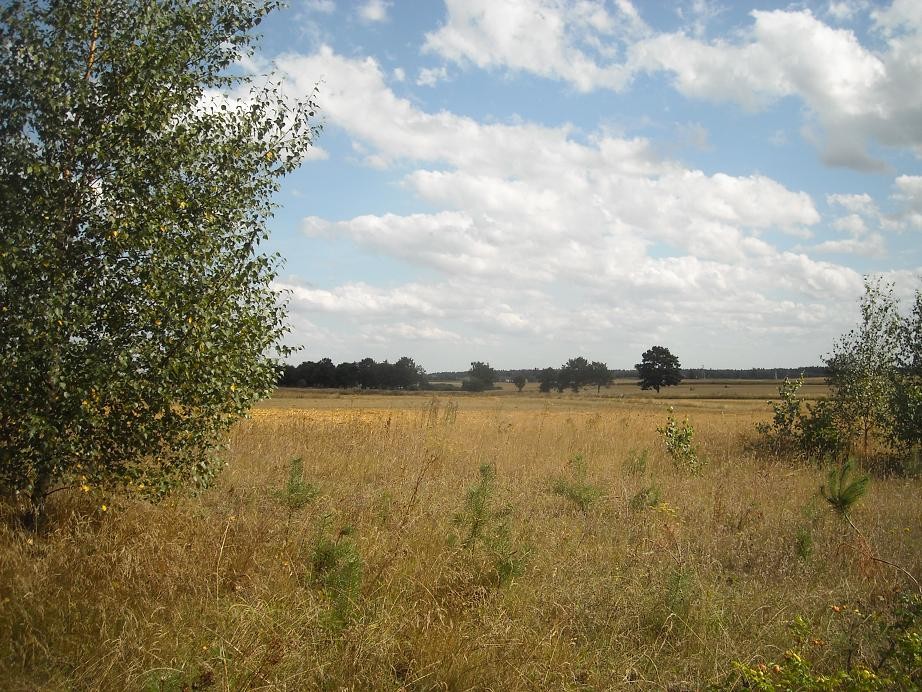 Pozostałe, Koniec lata............ - ...........i widok na okolicę............