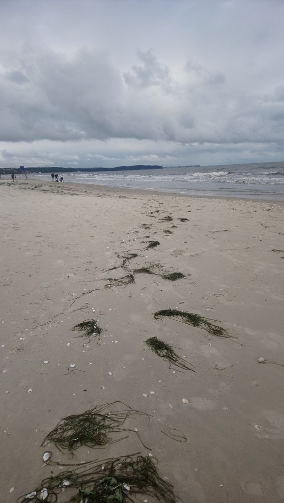 Dekoracje, Słoneczny październik................ - ...............plaża..................