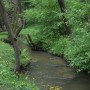 Podróże, Dolina Mnikowska, wycieczka spacerowo - wyczynowa:) - Sanka, która jakoś nijak nie pasuje mi do kierunku jej spływu:)
Spodziewałabym się raczej jej wypływu z doliny.