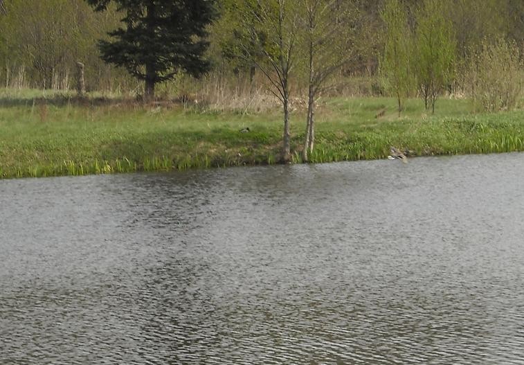 Pozostałe, Majówka ...............odpoczynek na świeżym powietrzu..........