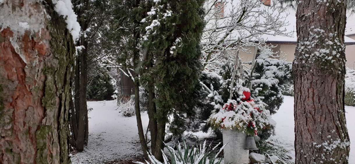 Ogród, Styczeń śniegiem przyprószony...