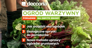 Ogród Warzywny