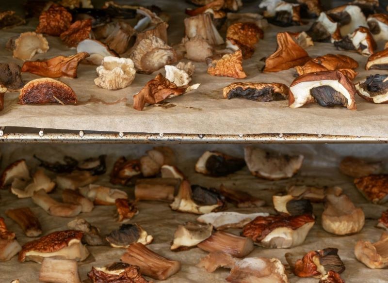 Grzyby suszymy w piekarniku przez kilka godzin.