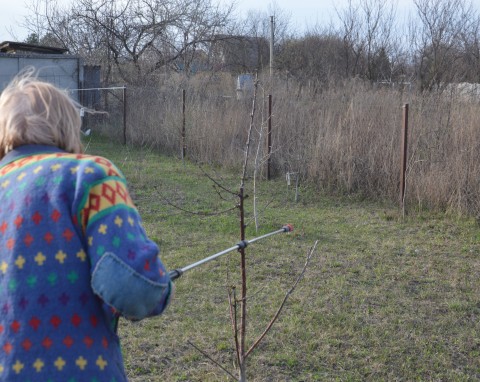 Opryski olejem parafinowym drzew i krzewów owocowych. Czy można mieszać z preparatem miedziowym?