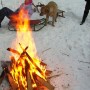 Pozostałe, PIKNIK  na  LEŚNIEJ  POLANIE - PIKNIK z KULIGIEM