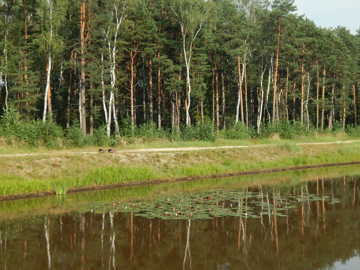 Leśne klimaty, KAWA W LESIE  :)