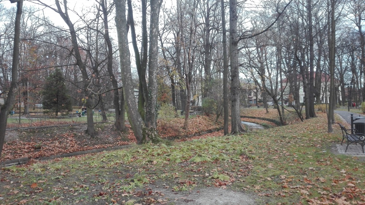 Podróże, Listopadowy park