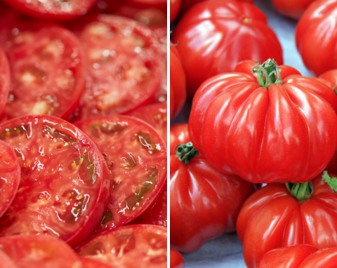Pomidor idealny dla amatorów. Jak uprawiać pomidory Marmande?