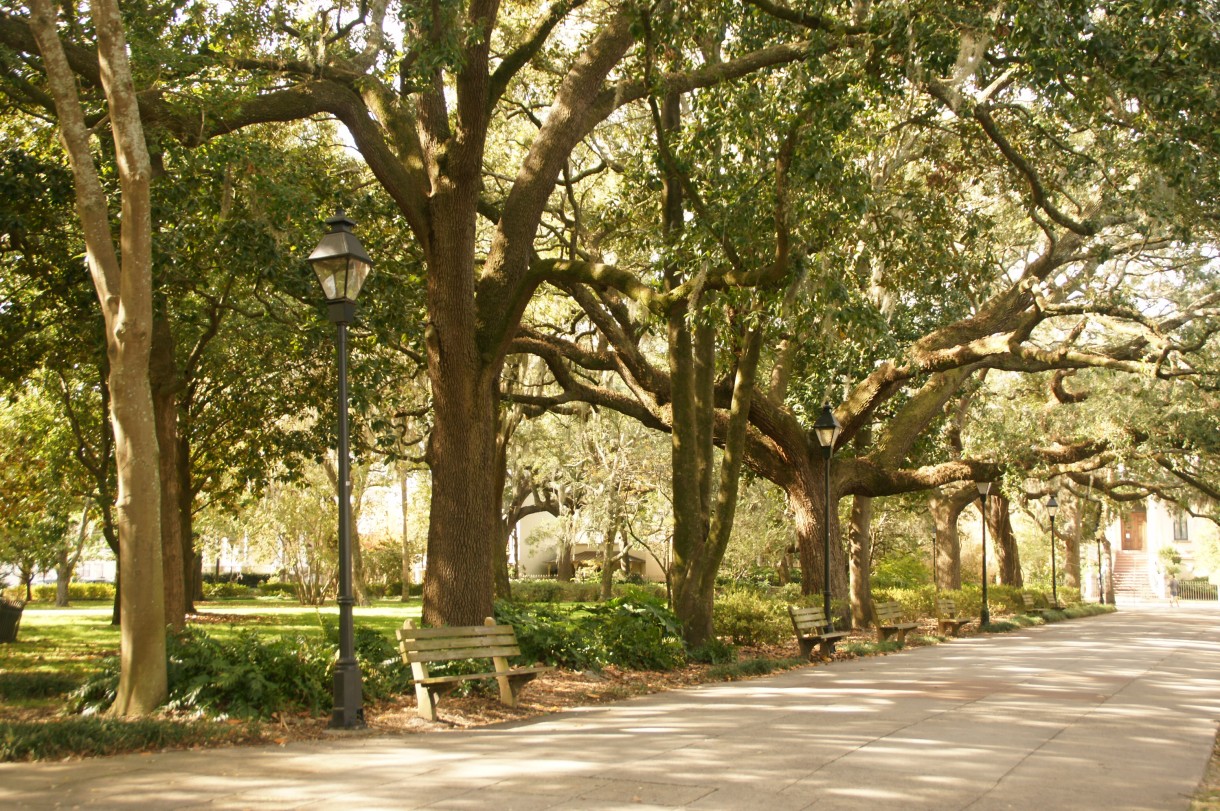 Podróże, Savannah, Georgia