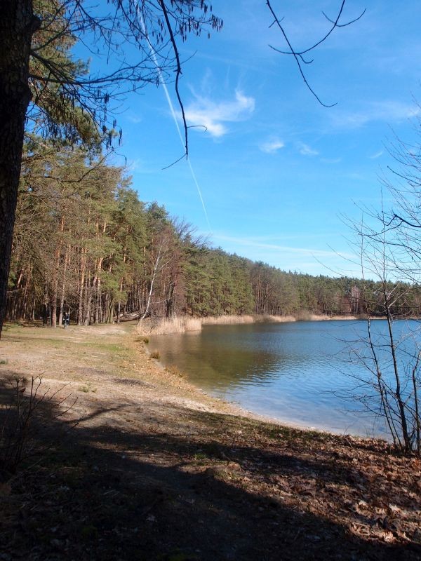 Podróże, Korzenioplastyka z nad jeziora