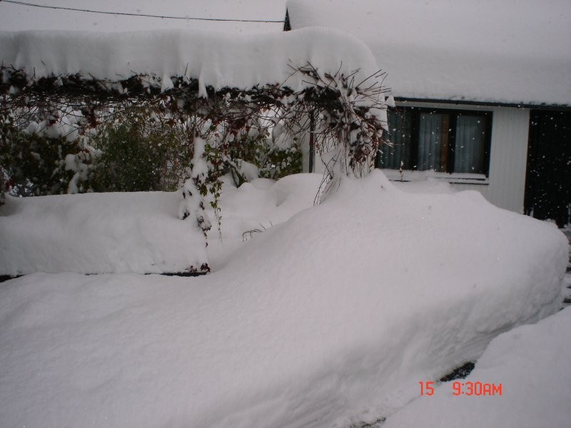 Ogród, Zima,brrr...