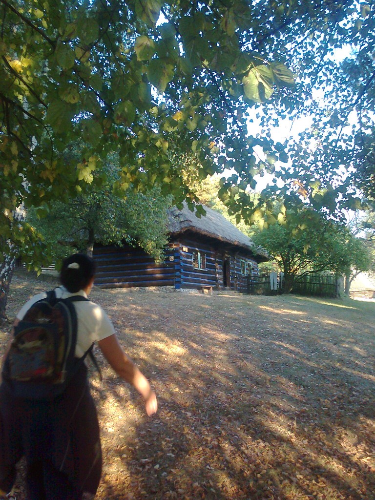 Pozostałe, Skansen w Wygiełzowie