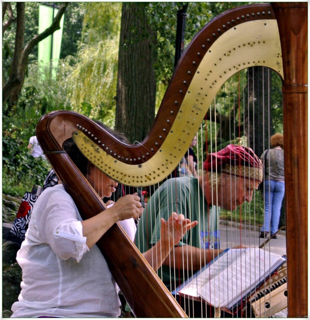 Ogród, DziŚ Dzień Fotografii - NYC Central Park; Muzycy