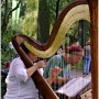 Ogród, DziŚ Dzień Fotografii - NYC Central Park; Muzycy