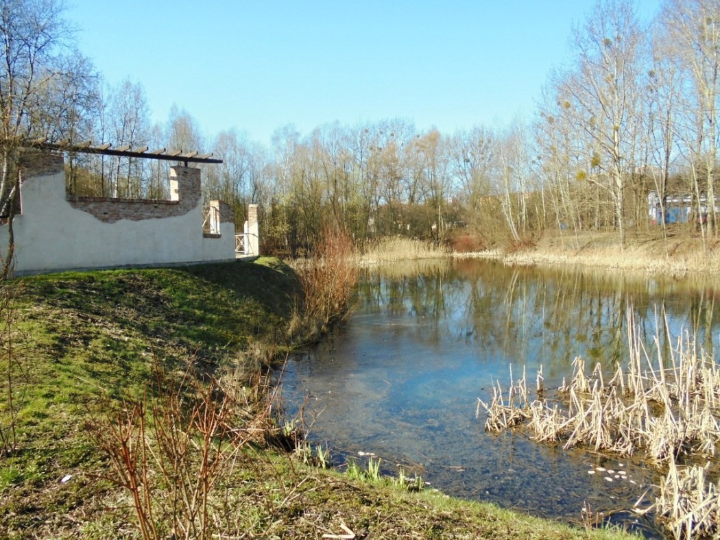 Leśne klimaty, WIOSENNIE  W  NATURZE