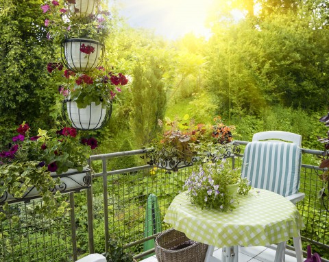 Jak urządzić ogród? Wybierz ulubiony styl