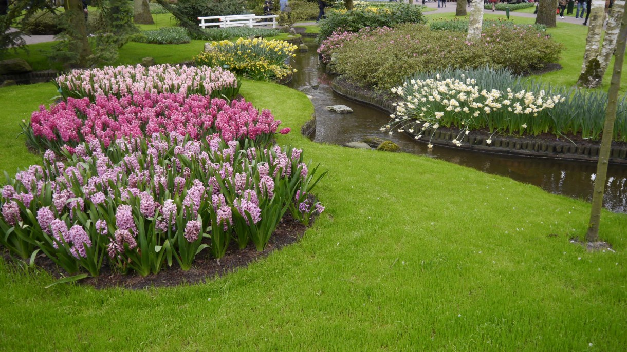 Pozostałe, Keukenhof