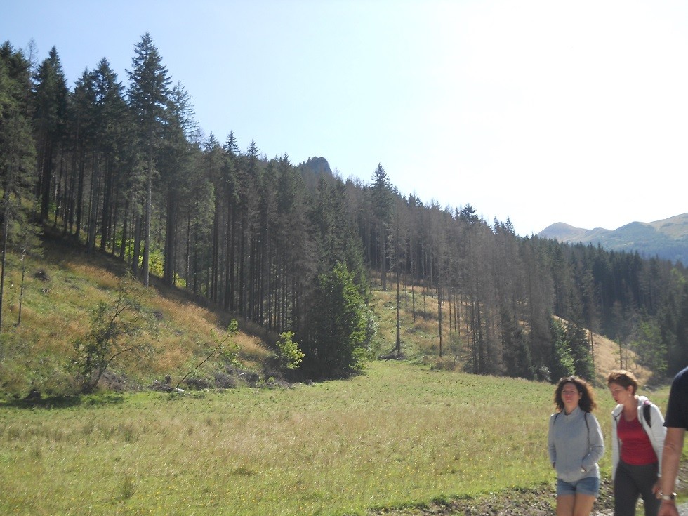 Pozostałe, Zakopane w foto - pigułce. Część piąta: Dolina Kościeliska. - Widoki do podziwiania.