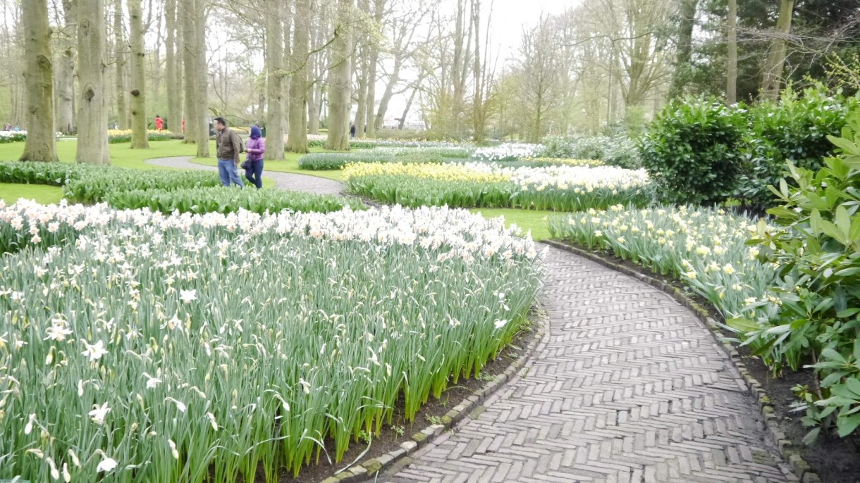 Pozostałe, Keukenhof