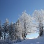 Pozostałe, zimowe klimaty - .