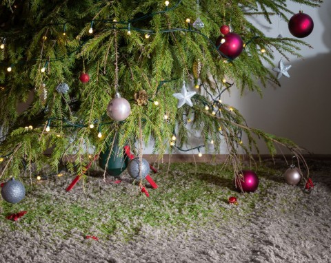 Jak utrzymać choinkę świeżą do nowego roku? Wypróbowane sposoby, które się sprawdzają