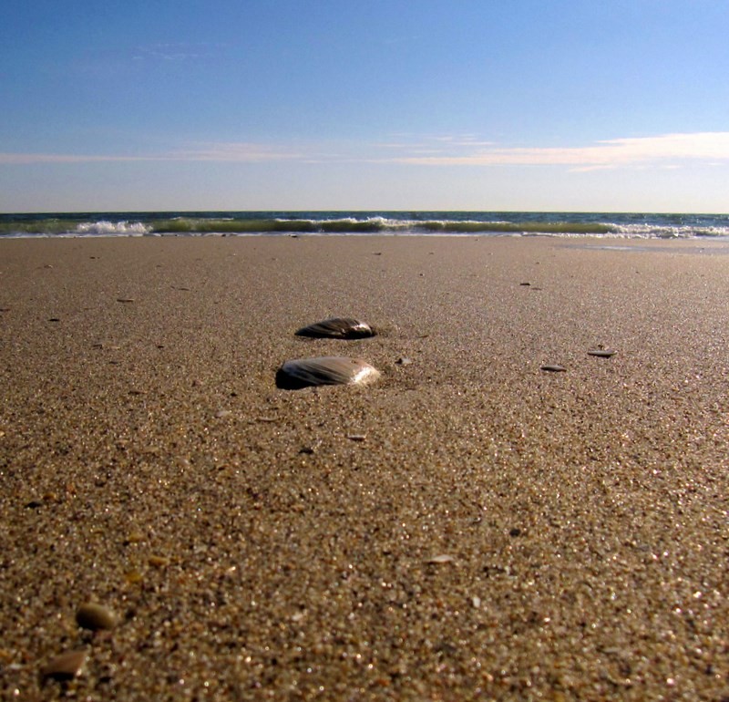 Pozostałe, Brzegiem Oceanu Atlantyckiego