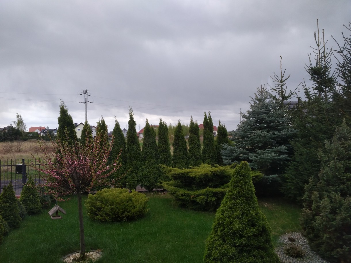 Ogród, Wiosenne ujęcia z ogrodu - chmury , deszcz, zimnica ....