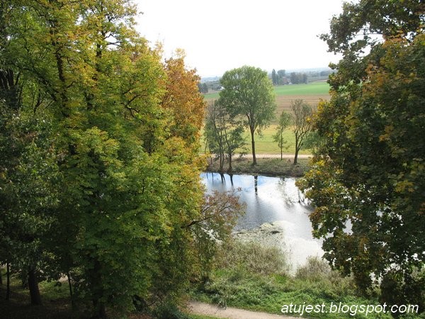 Pozostałe, Odkurzone foto - Park Czartoryskich w Puławach z zabytkami, ale teraz letnią porą. Widok ze skarpy na starą łachę wiślaną i pływające łabędzie.