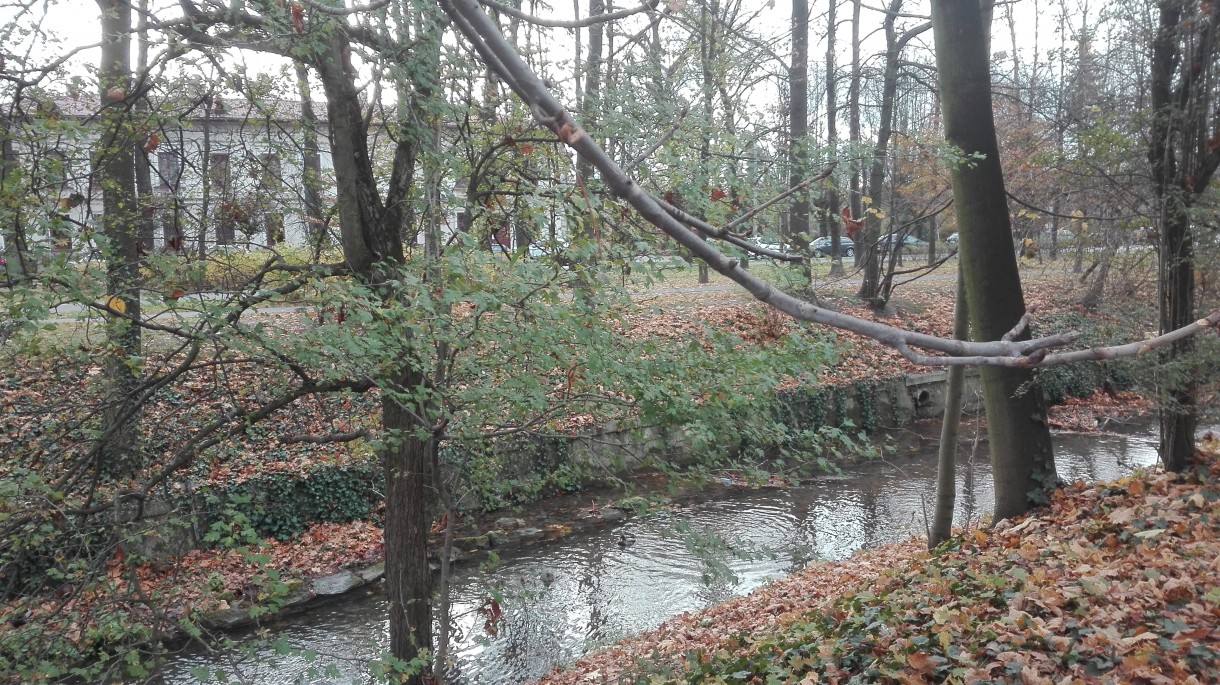 Podróże, Listopadowy park