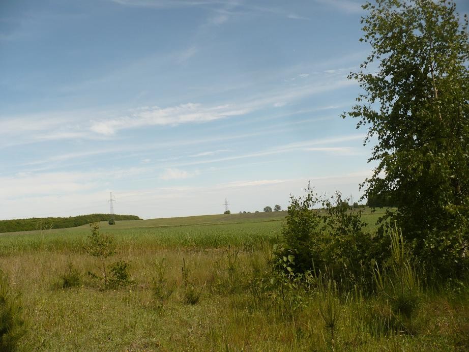 Pozostałe, Czerwcowe klimaty ......... - ............i nacieszyć oko ..............